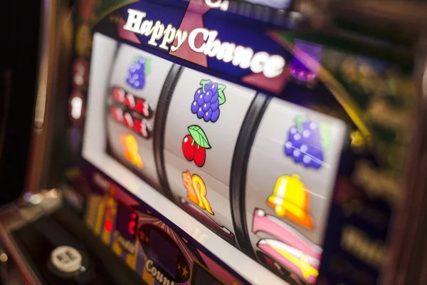 paito ncd live casino and sports dashboard